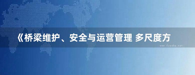 《桥梁维护、安全与运营管理 多尺度方法与性能评估》陈艾荣、冯良平、阮欣